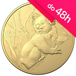 Moneta złota Koala 2024 1 oz (48h)