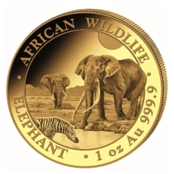 Moneta złota z serii African Wildlife: Słoń Somalijski 2026 1 oz   (24h)