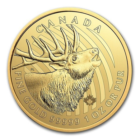 Złota moneta z serii Zew Natury: Elk - Jeleń 2017 1 oz (24h)