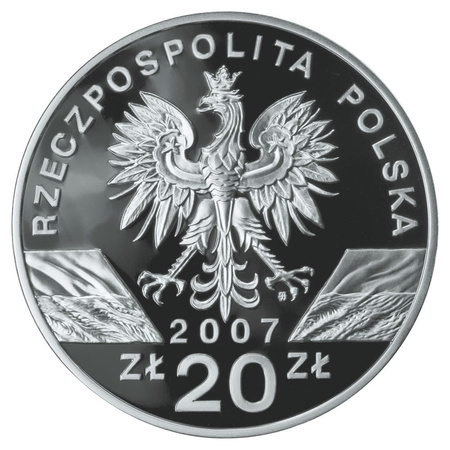 Moneta srebrna 20 zł - FOKA SZARA - 2007 (24h)