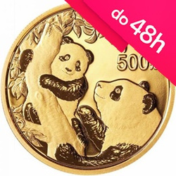 Moneta złota Chińska Panda 2020 30 g (48h)