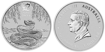 Srebrna moneta Rok Węża Lunar III 2025 1 oz (24h)