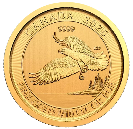 Moneta złota Orzeł Canada 2020 1/10 oz (48h)