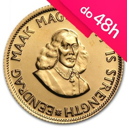 Moneta złota 2 Randy RPA (48h)