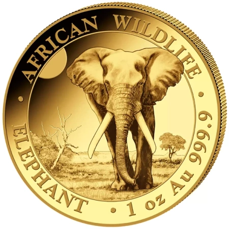 Złota moneta z serii African Wildlife: Słoń Somalijski 2025 1 oz 