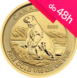 Moneta złota Niedźwiedź Polarny 2019 1/10 oz (48h)