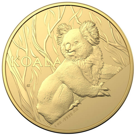 Złota moneta Koala 2024 1 oz (24h)