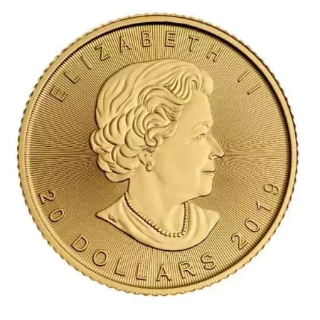 Moneta złota Kanadyjski Liść Klonowy 1/2 oz (48h)