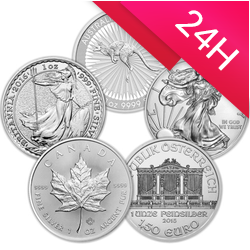 10 x sztabka / moneta srebrna 1 oz (48h)