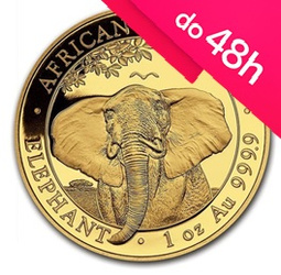 Moneta złota Słoń Somalijski 2021 1 oz (48h)