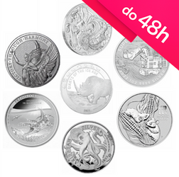 5 x sztabka / moneta srebrna 1 oz (48h)