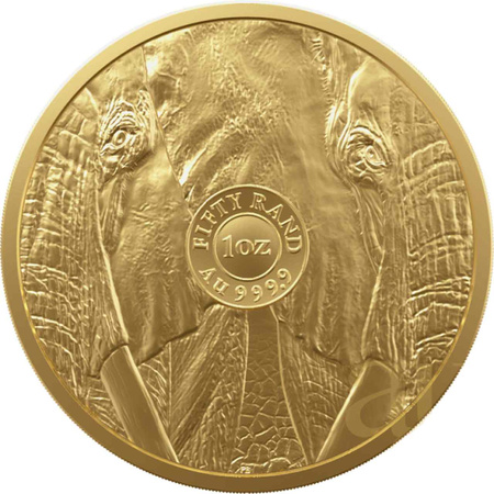 Moneta złota z serii Big Five: Słoń 2022 1 oz (48h)