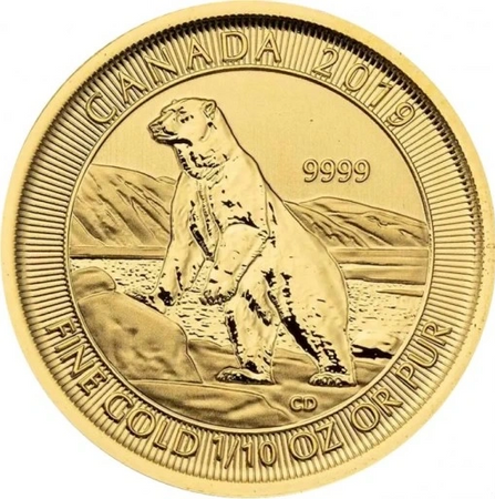 Moneta złota Niedźwiedź Polarny 2019 1/10 oz (48h)