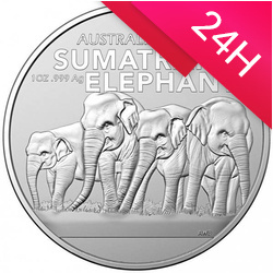 Moneta srebrna Australia Zoo: Sumatran Elephant 2022 1 oz (24h)