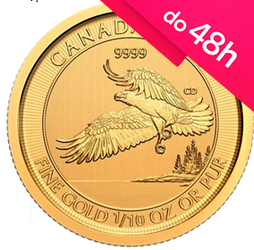Złota moneta Orzeł Canada 2020 1/10 oz (48h)