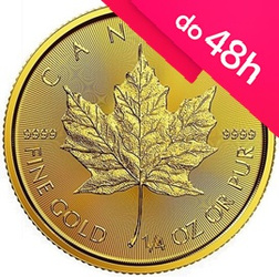 Moneta złota Kanadyjski Liść Klonowy 1/4 oz (48h)
