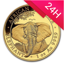 Złota moneta Słoń Somalijski 2021 1 oz (24h)
