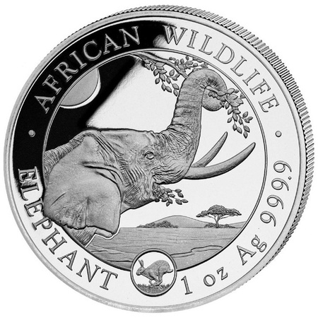 Srebrna moneta z serii African Wildlife: Słoń Somalijski 1 oz (24h)