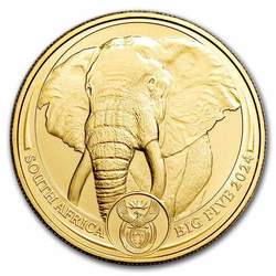 Złota moneta z serii Big Five: Słoń 2024 1 oz (24h)