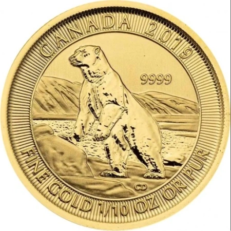 Złota moneta Niedźwiedź Polarny 2019 1/10 oz (48h)