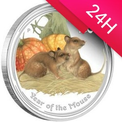 Srebrna moneta Rok Myszy 2008 1 kg (24h)