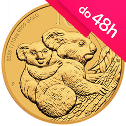 Moneta złota Koala 1/10 oz (48h)