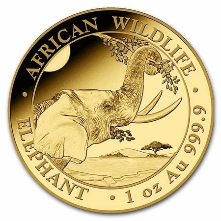 Złota moneta z serii African Wildlife: Słoń Somalijski 2023 1 oz (24h)