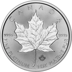 Platynowa moneta Kanadyjski Liść Klonowy 1 oz 2025