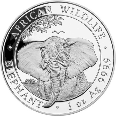 Srebrna moneta z serii African Wildlife: Słoń Somalijski 1 oz (24h)