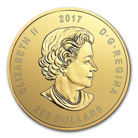 Złota moneta z serii Zew Natury: Elk - Jeleń 2017 1 oz (24h)