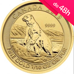 Złota moneta Niedźwiedź Polarny 2019 1/10 oz (48h)