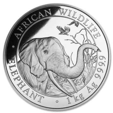 Srebrna moneta Słoń Somalijski 1kg (24h) 