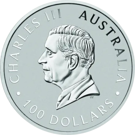 Platynowa moneta Australijski Kangur 2025 1 oz