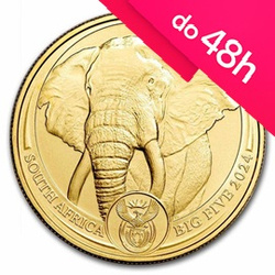 Moneta złota z serii Big Five: Słoń 2025 1 oz (48h)