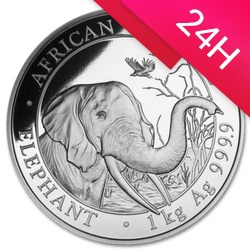 Srebrna moneta Słoń Somalijski 1kg (24h)