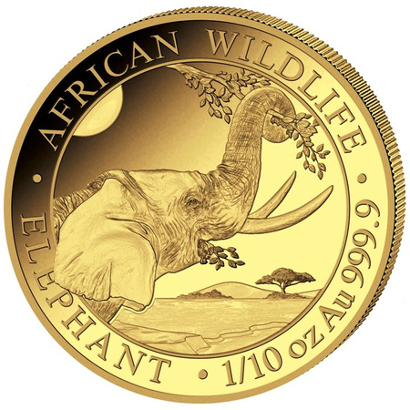 Złota moneta z serii African Wildlife: Słoń Somalijski 1/10 oz (24h)