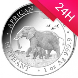 Srebrna moneta z serii African Wildlife: Słoń Somalijski 1 oz (24h)