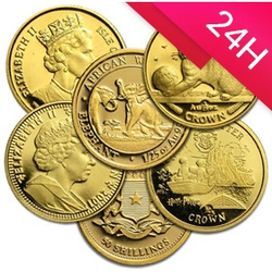 Złota moneta losowa 1/25 oz (24h)