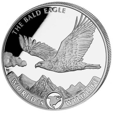 Bielik Amerykański (The Bald Eagle) 1 uncja Srebra 2021 24h