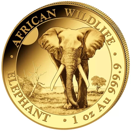 Złota moneta z serii African Wildlife: Słoń Somalijski 2025 1 oz (24h)