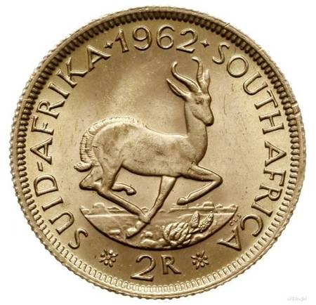 moneta złota 2 Randy RPA (24h)